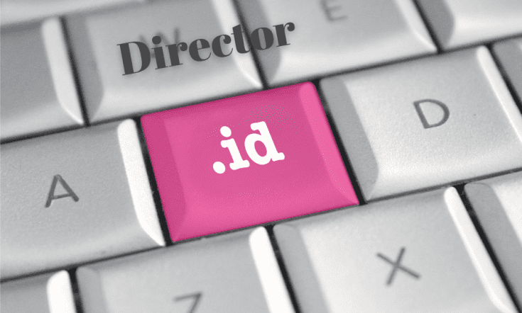Company Director ID Number
