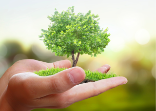Could your business survive without you?